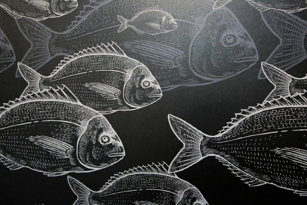Les Poissons, T2 Hypercentre Chic Et Cosy, Wifi Par Sovalfi